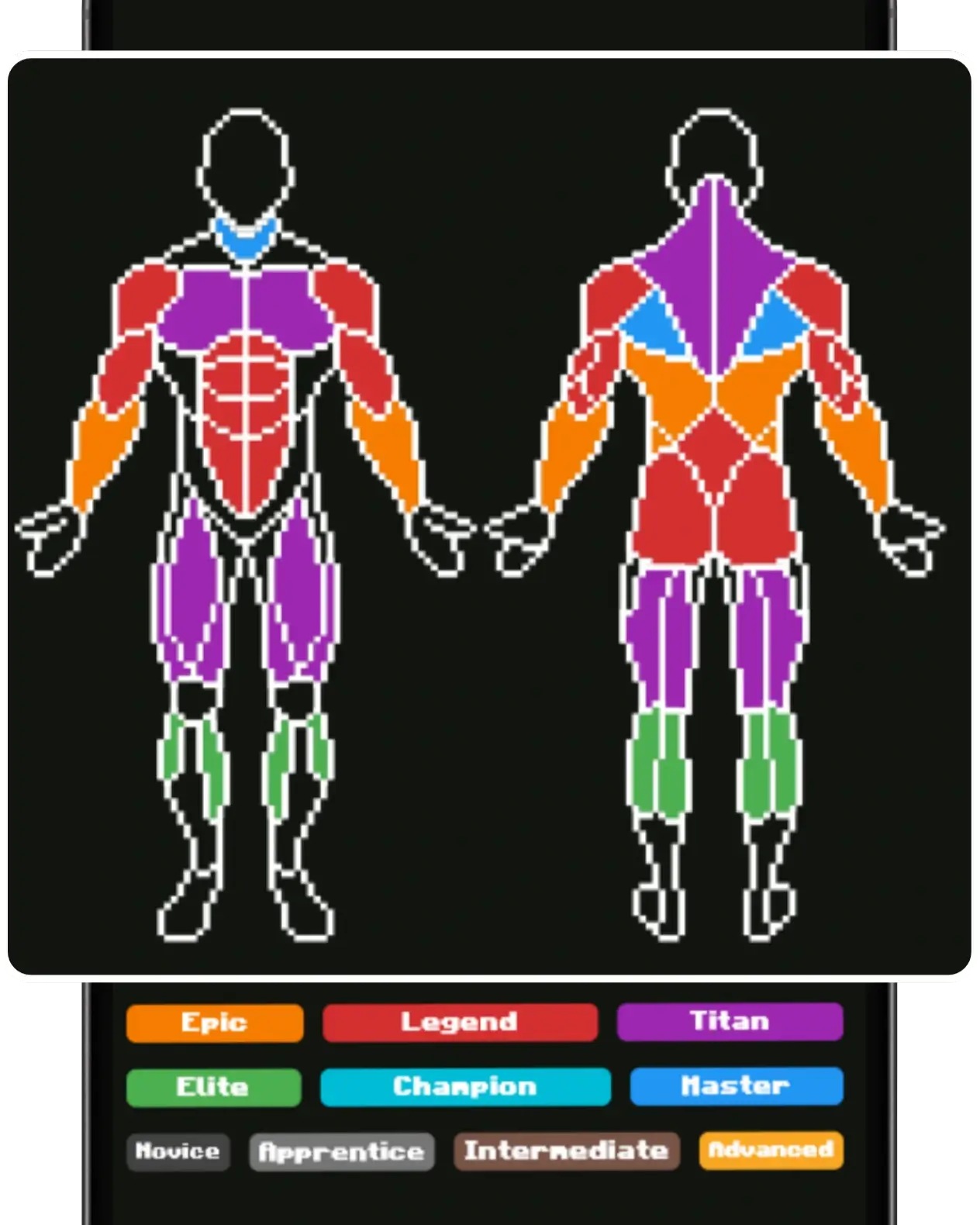 Body Chart